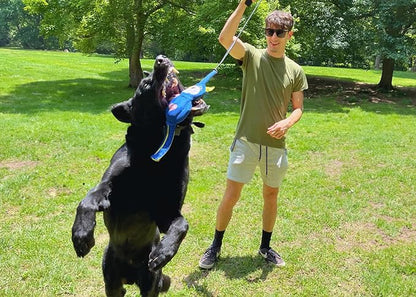 Flirt Pole Replacement Toy - Multi-Sensory Tough Tug Toy for Mighty StrongBite Flirt Pole for Dogs, Teaser Wand Attachment Lure (Raccoon)