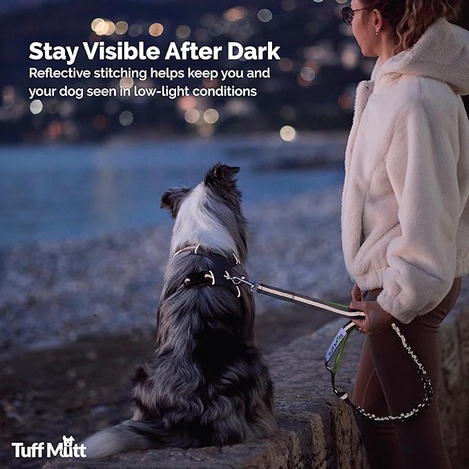 Tuff Mutt Hands Free Dog Leash for Walking Running Hiking, Waist Leash with Bungee, Adjustable Belt, Reflective Double Handle Design for Large Medium Dogs
