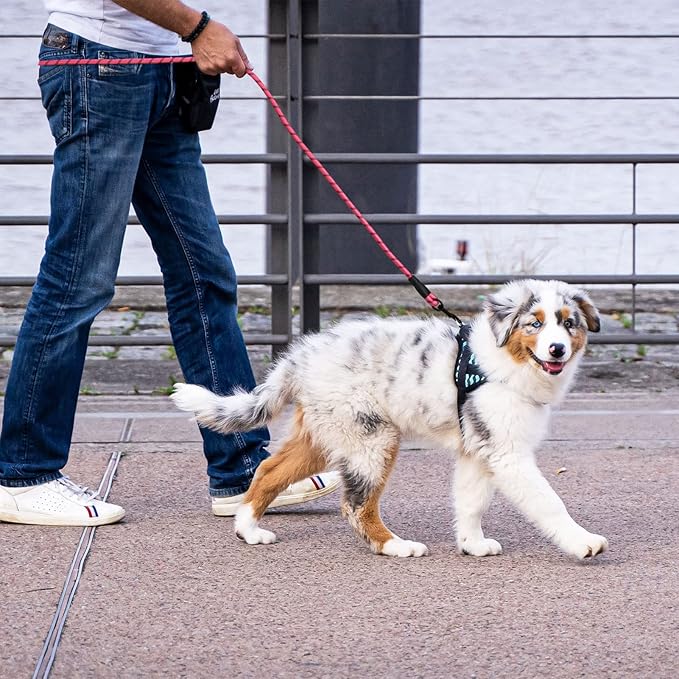 5/6 FT Strong Pet Dog Leash with Soft Padded Handle,Highly Reflective Rope for Night Walking,360-Degree Rotating Metal Buckle Without Tangles,Suitable for Small,Medium and Large Dogs.(5ft)