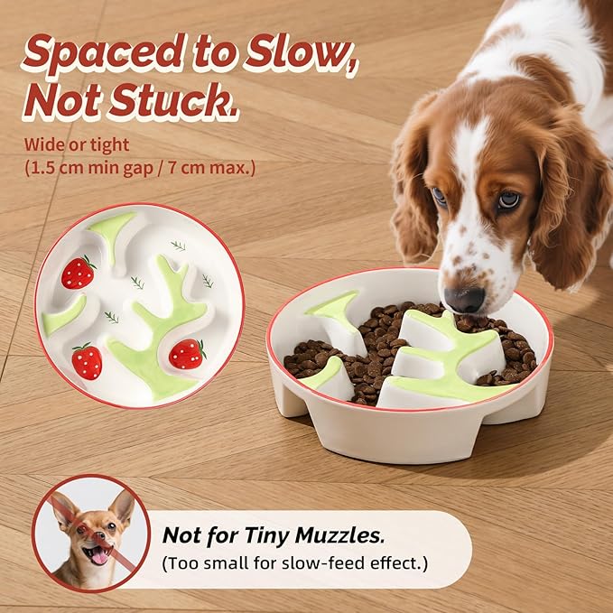 Ceramic Slow Feeder Dog Bowl - Portion Control Feeding Bowl for Medium Dogs – Cute Maze Food Dish for Fast Eaters - 3.1 Cups (310 g) - Doodle Series (Cherry)