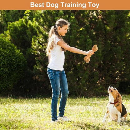 2 Pack Dog Chew Toys for Aggressive Chewers, Chicken Flavor Indestructible Nylon Puppy Bone Tough Teething & Calming for Large Medium Breeds(10lbs-70lbs) Birthday Gift Christmas