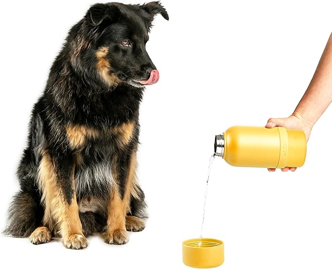 Ubbi Pup & Me Insulated Stainless Steel Dog Water Bottle with Attached Bowl, 32 oz Portable Leakproof Travel Bottle for Dogs and Owners, Yellow