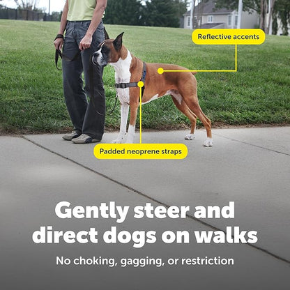 PetSafe Easy Walk Deluxe Dog Harness, No Pull Dog Harness – Perfect for Leash & Harness Training – Stops Pets from Pulling and Choking on Walks – Large, Steel