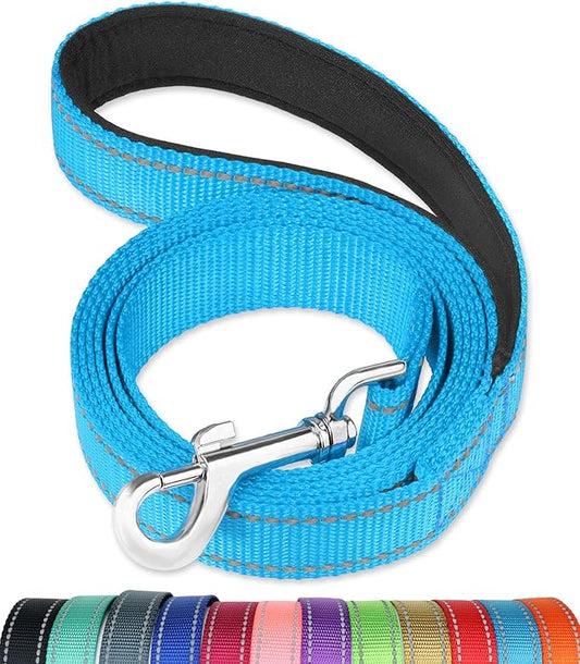 FunTags 4FT Reflective Dog Leash with Soft Padded Handle for Training,Walking Lead for Medium & Small Dogs,3/4 Inch Wide,SkyBlue