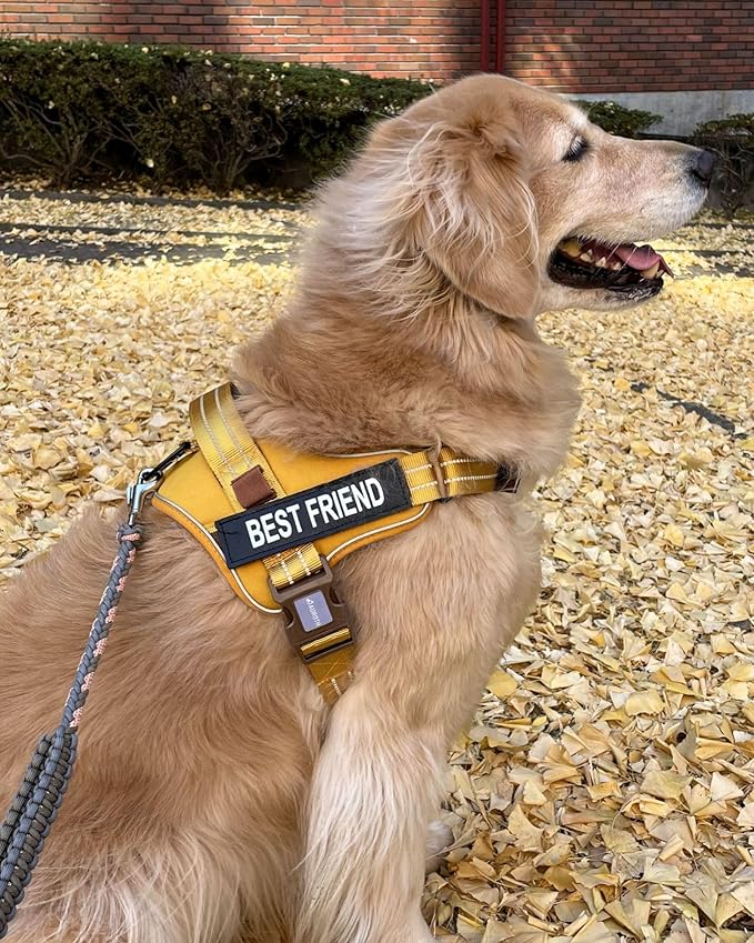 AUROTH Dog Harness and Leash Set, Soft Padded Service Dog Vest with 5.25FT Dog Leash, No Choke, Easy On Pet Vest, Adjustable Reflective No Pull Dog Harness for Large Dogs, Easy Walking and Training