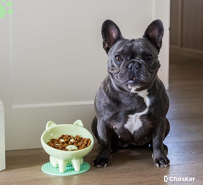 Ceramic Slow Feeder Bowl, Elevated CAT & Dog Slow Feeder, Wide-Mouth, PAW Design, Stylish Design, for Fast Eaters, Non Slip, Pets, Small & Medium Sized Breeds, (Green)