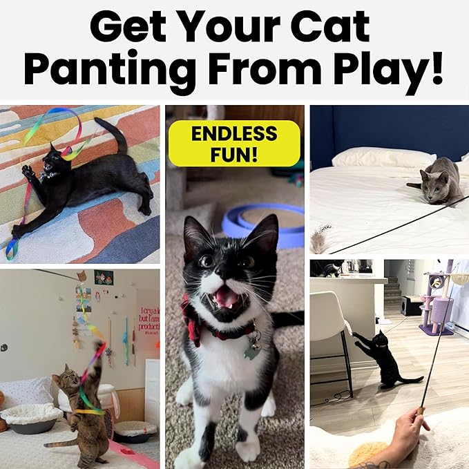 Forever Stick with Cat Toys and Strings Bundle - The Unbreakable Cat Wand Toy, Durable Cat Toy Wand, Extra Long Cat String Toy, Cat Fishing Pole Toy for Bored Indoor Adult Cats, Cat Stick Toy