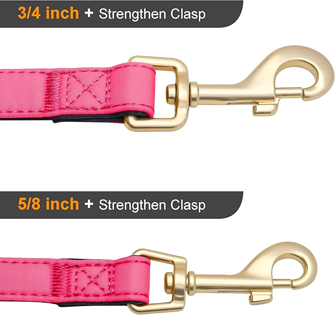 Didog 5FT Colorful Nylon Dog Leash with Soft Full-Length Padding, Lightweight and Durable Pet Leash for Medium and Large Dogs, Pink, M