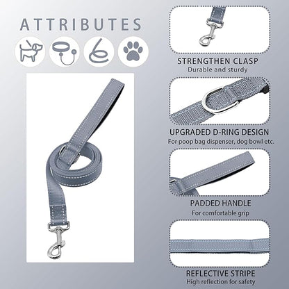Reflective Dog Collar with Safety Locking Buckle, Adjustable Soft Breathable Nylon Collars for Small, Medium and Large Dogs(Collar+Leash XS Width 5/8" Gray)