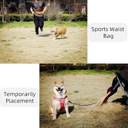 FJ Four Joys Hands Free Dog Leash with Zipper Pouch, Waist Leash for Dog Walking with Shock Absorbing Bungee for Walking, Jogging and Running (Orange)