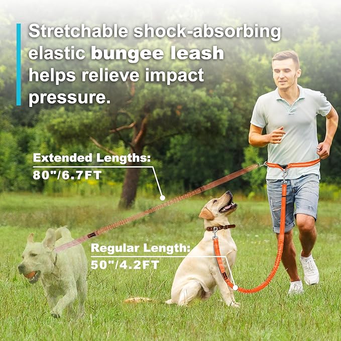 Hands Free Dog Leash, Adjustable Waist Leash for Dog Walking, Dual Bungee 4.2-6.7 Feet Long with Reflective Stitches for Walking Hiking Running, Fits 26"- 43" Inch Waist, Orange