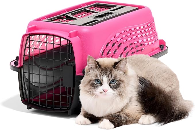 Petmate Dog Crates for Small Dogs & Cat Carriers, Two-Door Plastic Pet Kennel, Top & Front Loading, XS 19" For Dogs Up To 10 lb, Pink