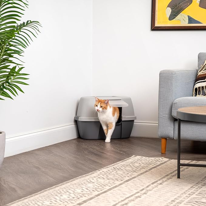 IRIS USA Corner Cat Litter Box - Enclosed Corner Litter Box with Scoop, Hooded Litter Tray for Corners, Space-Saving Covered Litter Box, Odor Defensive, Dark Gray