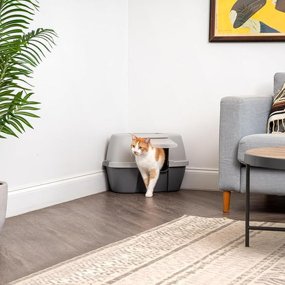 IRIS USA Corner Cat Litter Box - Enclosed Corner Litter Box with Scoop, Hooded Litter Tray for Corners, Space-Saving Covered Litter Box, Odor Defensive, Dark Gray