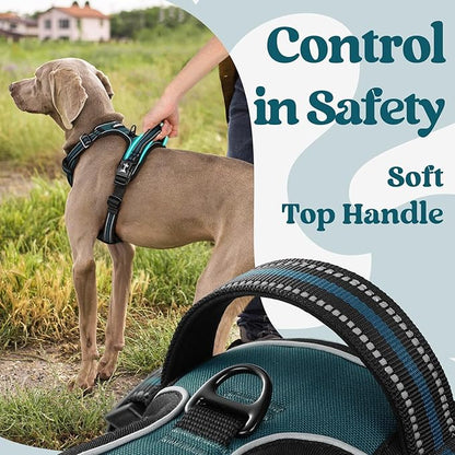rabbitgoo Dog Harness for Large, No Pull Pet Harness with 3 Buckles, Adjustable Soft Padded Vest with Control Handle, Walking Reflective Pet Vest for Large Dogs, Blue Coral, L