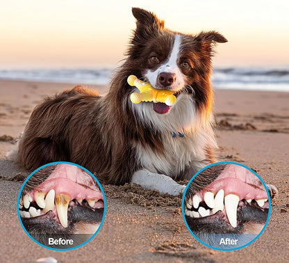 NEZIN Dog Chew Toys, Indestructible Dog Toys for Aggressive Chewers, Tough Dog Toys, Durable Dog Chew Toys for Large Medium Breed, Interactive Dog Toys with Real Beef Flavor (Mix 3 Pack)