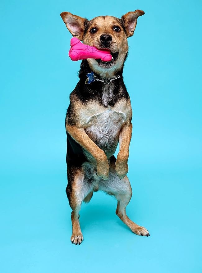 HARTZ Dura Play Soft Dog Bone Toy, Assorted Colors, 1 Ea, for Medium breeds