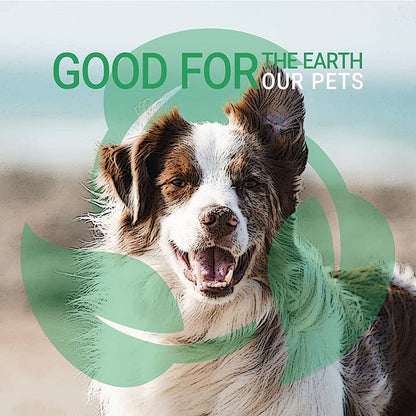 Green Groom Dog Shampoo Plus Conditioner, 1 Gallon | All Natural Ingredients, Detangles and Strengthens, Renews Moisture, 2 in 1, Detangler, Dematting