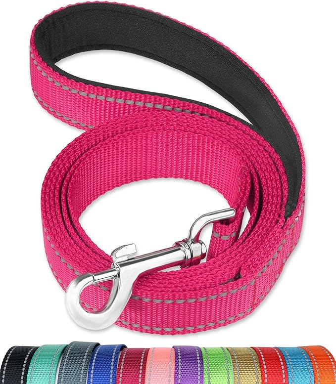 FunTags 6FT Reflective Dog Leash with Soft Padded Handle for Training,Walking Lead for Large & Medium Dog,1 Inch Wide,HOTPINK