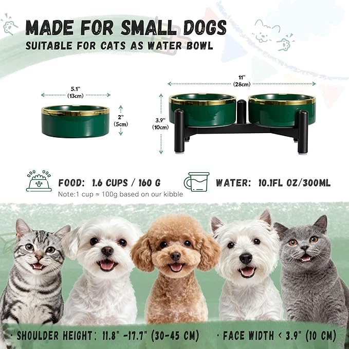 Elevated Ceramic Dog Bowl Set - Double Dishes with Stainless Steel Stand – Raised Feeding Bowls for Cats and Small Dogs - Food & Water Set - 5" / 1.6 Cups (160 g / 300 ml) - Green