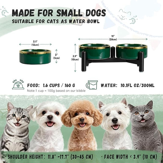Elevated Ceramic Dog Bowl Set - Double Dishes with Stainless Steel Stand – Raised Feeding Bowls for Cats and Small Dogs - Food & Water Set - 5" / 1.6 Cups (160 g / 300 ml) - Green