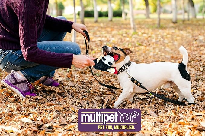 Multipet Lamb Chop | Lamb Chop Dog Toy | Small Dog Toy Lamb Chop Squeaker Toy | Officially Licensed (Black, 10")