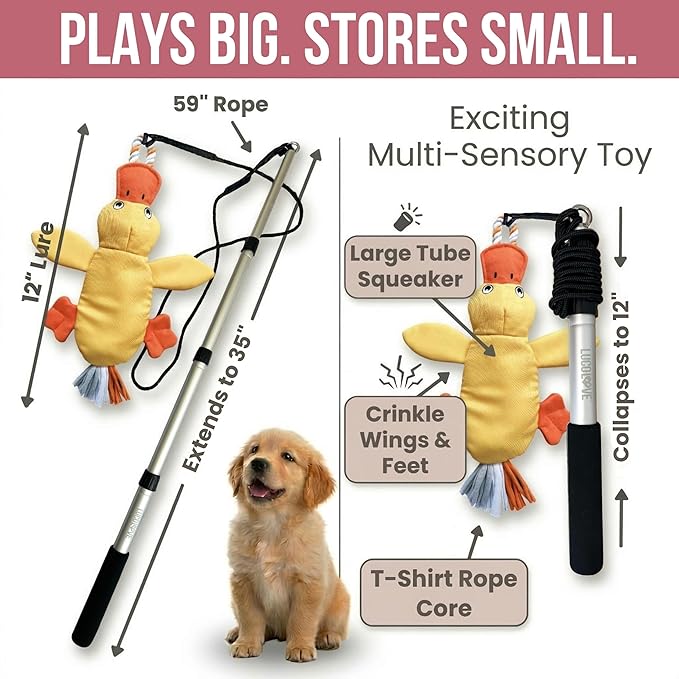 Flirt Pole for Dogs Heavy Duty - Multi-Sensory Tough Chase Toy for Medium & Large Breeds – Extra Strong 35" Dog Teaser Wand for Backyard Play, Training and Interactive Fun (Duck)