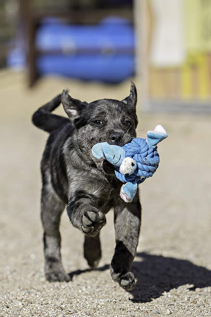 Multipet Rope Head Dog Toy