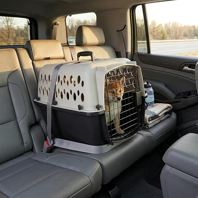 Hard-Sided Pet Travel Carrier for Small Dogs and Cats, 23-Inch Portable Plastic Kennel with Steel Wire Door, Secure Latch, and 360-Degree Ventilation for Vet Visits and Training