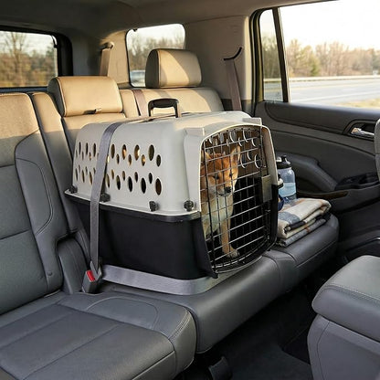Hard-Sided Pet Travel Carrier for Small Dogs and Cats, 23-Inch Portable Plastic Kennel with Steel Wire Door, Secure Latch, and 360-Degree Ventilation for Vet Visits and Training