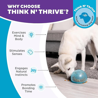 Outward Hound by Planet Dog Snoop Dog Toy – Treat‑Dispenser Puzzle Ball, Interactive Slow Feeder, Medium to Large Dogs, Bouncy & Mint-Infused, Blue, 5"