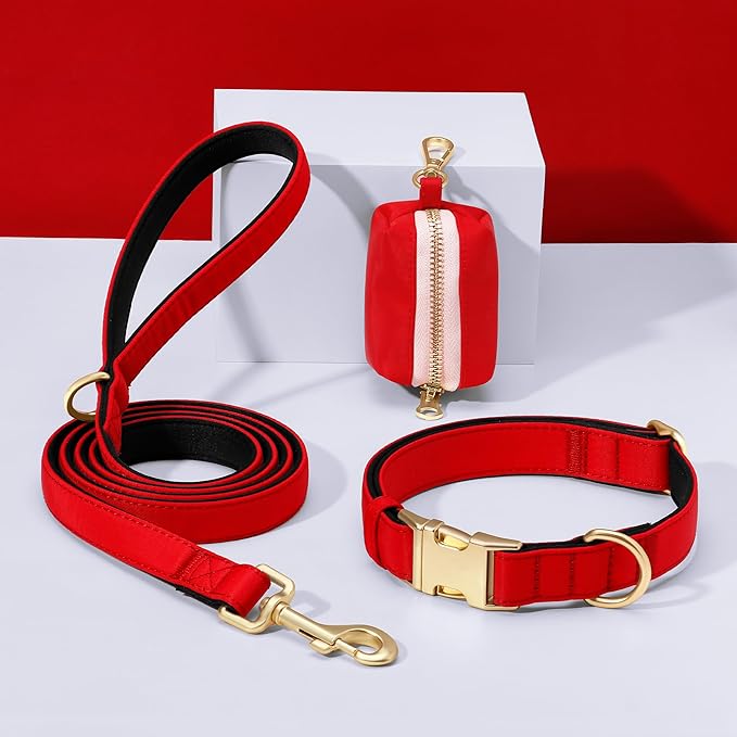 Didog 5FT Colorful Nylon Dog Leash with Soft Full-Length Padding, Lightweight and Durable Pet Leash for Small Dogs, Red, S