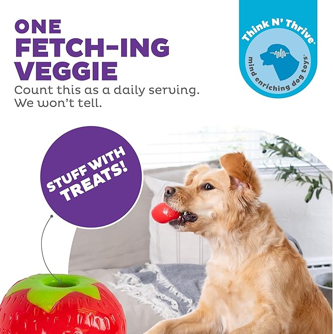 Outward Hound by Planet Dog Foodies Strawberry Treat-Dispensing Dog Chew Toy, Pink