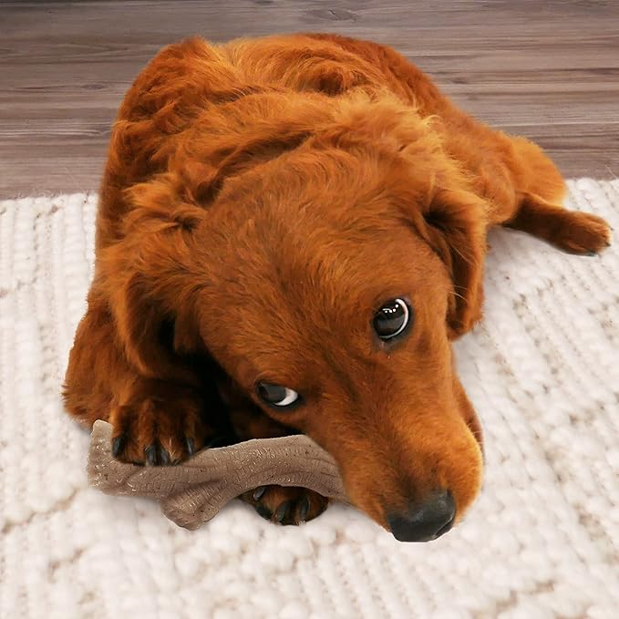 Nylabone Gourmet Style Stick Strong Chew Toy for Dogs, Peanut Butter Flavor, Medium - Up to 35 lbs, 1 Count