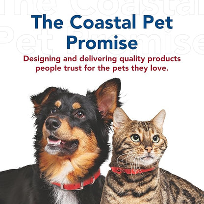 Coastal Pet Single-Ply Dog Leash - Sturdy Pet Leash - Comfortable & Stylish - Resists Fraying - Vibrant & Fade-Resistant Color - Black, 3/4" x 6'