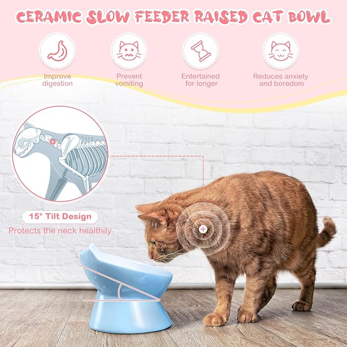 2 Pcs Ceramic Raised Slow Feeder Cat Bowl, 5.91inch Elevated Cat Slow Feeder Bowl Tilted Anti Vomiting for Dry Wet Food and Water Easy to Clean High Edge(Pink, Blue)