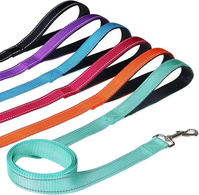 FunTags 6FT Reflective Dog Leash with Soft Padded Handle for Training,Walking Lead for Medium & Small Dogs,3/4 Inch Wide,Black
