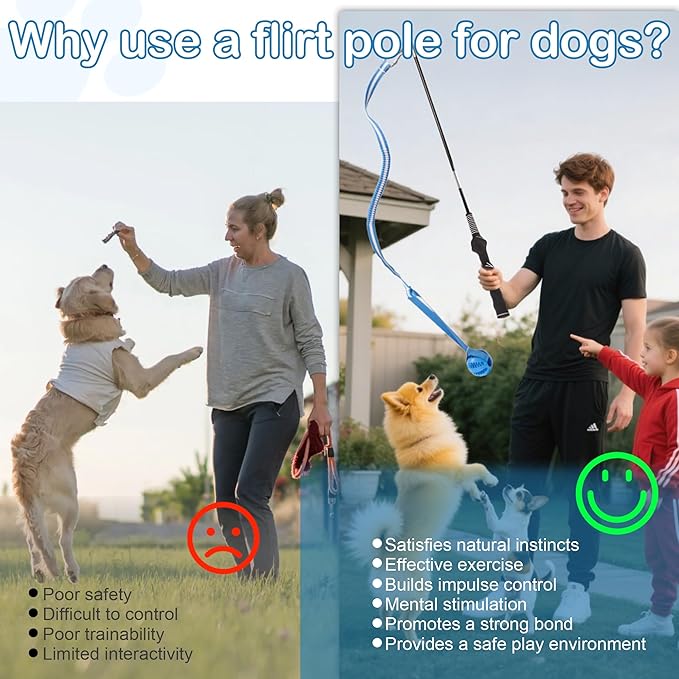 Flirt Pole for Dogs Interactive Dog Pole Toy for Large Medium Small Dogs, Sports Dog Teaser Pole for Tug of War, Flirt Pole with Lure Ball (Extended Pole + Tensile Rope)
