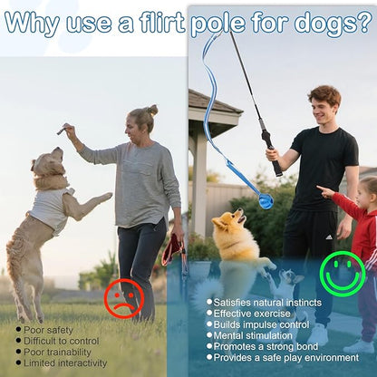 Flirt Pole for Dogs Interactive Dog Pole Toy for Large Medium Small Dogs, Sports Dog Teaser Pole for Tug of War, Flirt Pole with Lure Ball (Extended Pole + Tensile Rope)
