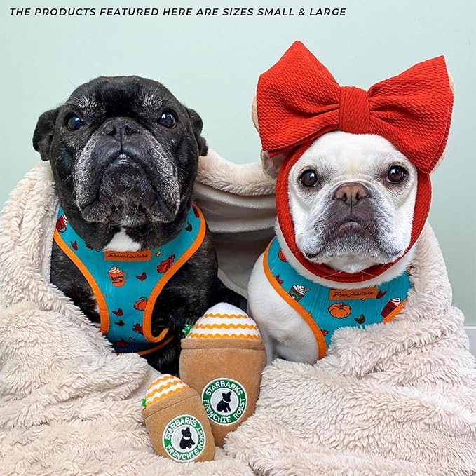 Haute Diggity Dog Starbarks Frappawcino, Plush Designer Dog Toys with Interactive Squeaker, Stimulating Pet Enrichment, Machine-Washable & Safe Materials for All Breeds, Size Small