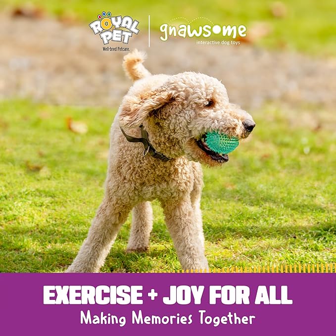 Gnawsome™ 4.5” Spiky Squeaker Football Dog Toy - Large, Cleans Teeth and Promotes Good Dental and Gum Health for Your Pet, Colors Will Vary,All Breed Sizes