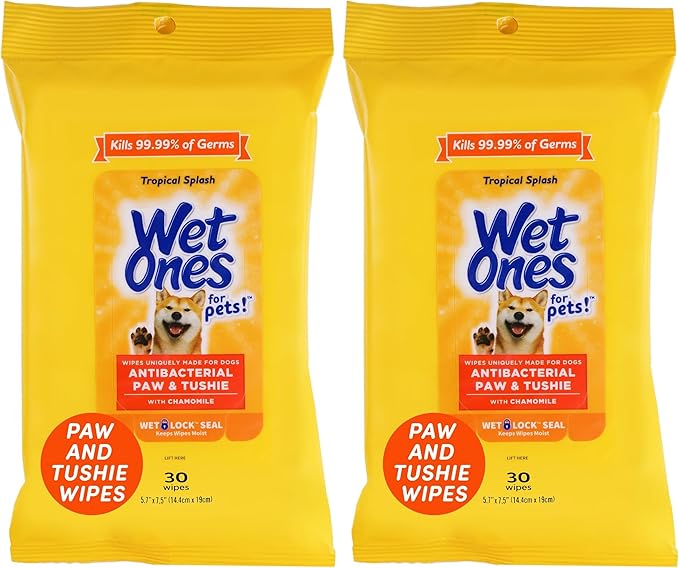 Wet Ones Dog Wipes, Pack of 2, 30 Count Total | Paw & Tushie | Tropical Splash Scent | Wet Lock Seal Pouch | With Chamomile