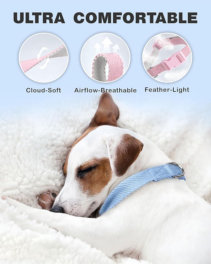 Dynmeow Soft and Breathable Cotton Dog Collar, Durable Adjustable Heavy-Duty Boy Pet Collar with Quick-Release Buckle, Lightweight for Sensitive Skin for Large Dogs, Light-Blue, L