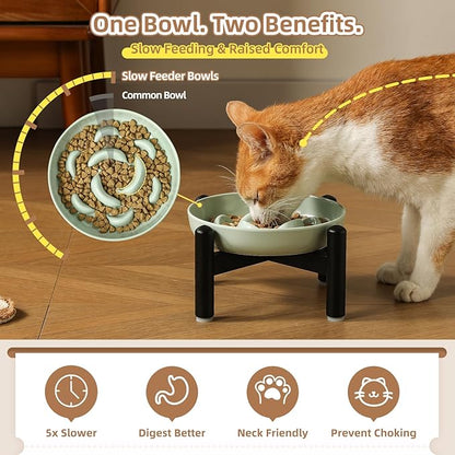 Elevated Slow Feeder Cat Bowl - Melamine Cat Food Plate with Anti-Slip Metal Stand - Raised Maze Dish for Slow Eating - Ivory White