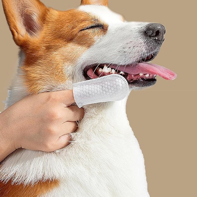 Pet Finger Wipes, Dog Ear Wipes for Dog Ear Infection Treatment, Gentle and Safe Pet Ear Cleaning Ear Cleaner for Allergies and Itching, Pet Dental Finger Wipes for Dogs and Cats, Furry Animals 50pcs