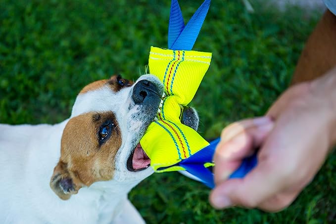 Bull Fit Dog Bite Tug Toy with 2 Strong Handles - Tough, Durable Fire Hose Dog Tug for Medium to Large Dogs - Ideal for Tug of War, Fetch, Puppy Training & Fun Interactive Play - Handmade Pull Toys