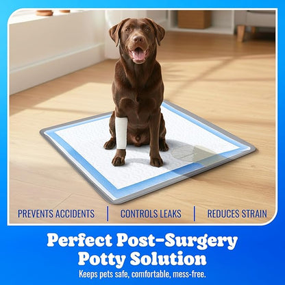 TidyFriend Dog Pee Pad Holder Tray - Fits Up to 24” x 24” Pee Pad Holder for Dogs - Stable Grip, Raised Edges, Quick-Wipe Silicone Surface Dog Pad Holder for Indoor Flooring Protection (Dark Grey)