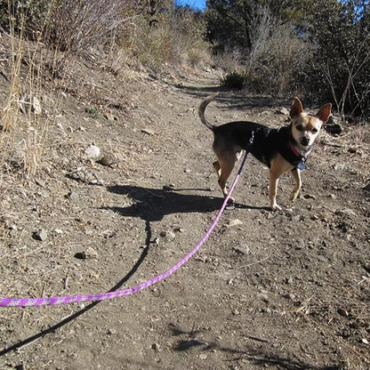 MayPaw Heavy Duty Rope Dog Leash, 3/4/5/6/7/8/10/12/15 FT Nylon Pet Leash, Soft Padded Handle Thick Lead Leashes for Large Medium Dogs (Purple, 1/2" * 8')
