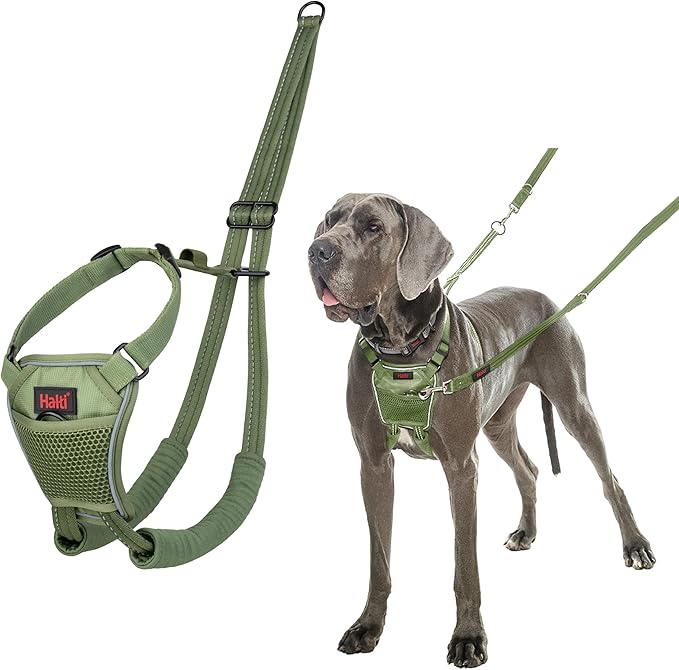 Halti No Pull Harness - Stop Your Dog Pulling on The Leash. Adjustable, Lightweight and Easy to Use. Reflective Dog Training Harness for Large Dogs (Size L, Forest Green)
