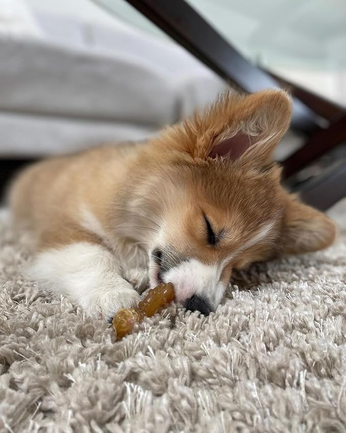 Nylabone Ring Bone & Teething Bone Puppy Chew Toy for Dogs, Soothing Puppy Teething Toys, Puppy Enrichment Toys, Long Lasting Chicken Flavor, Medium Dogs - Up to 35 lbs, 2 Pack